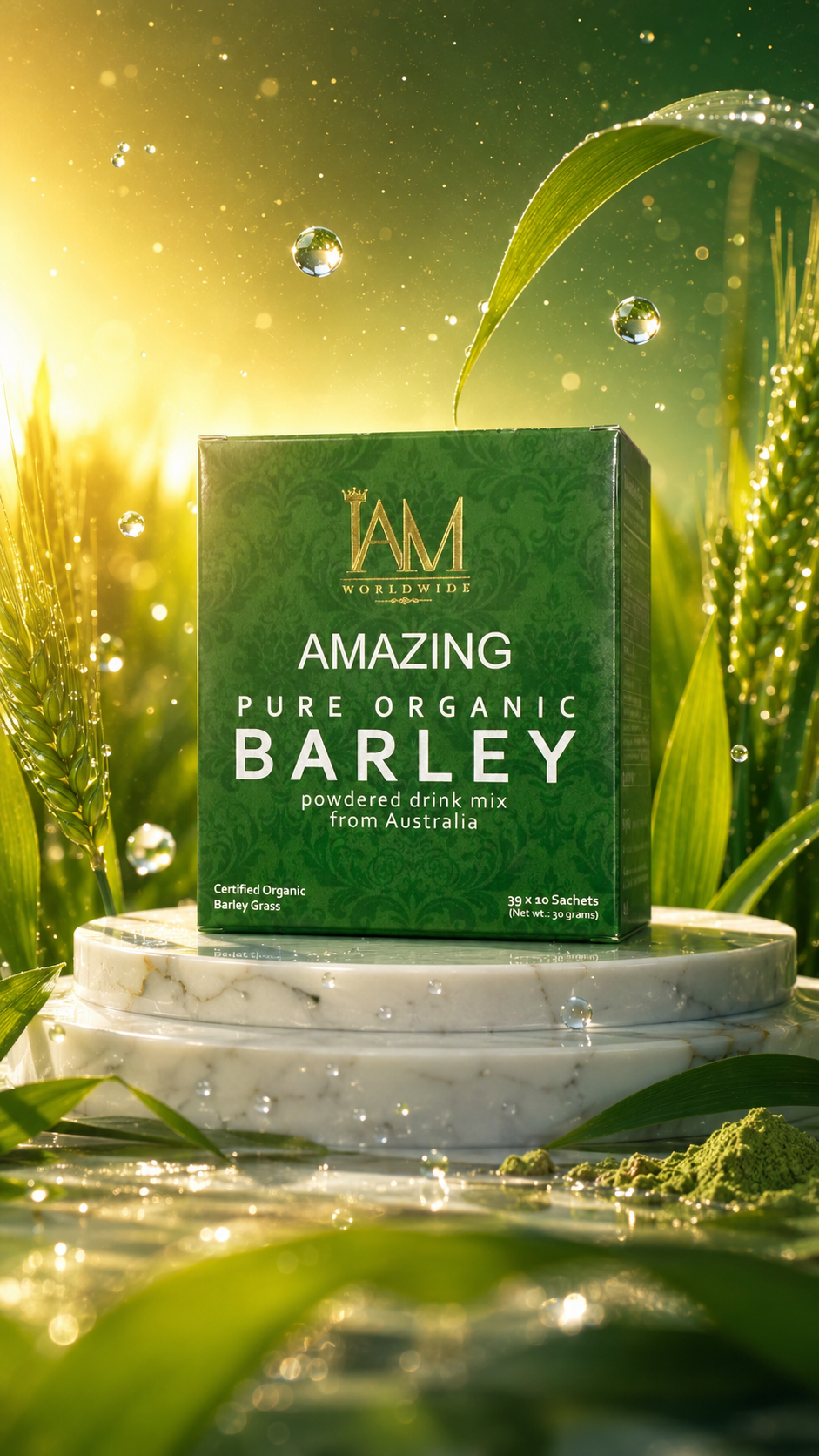 Amazing Pure Organic Barley box in barley field at sunrise